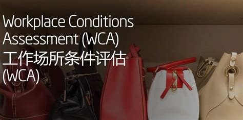 wca Search